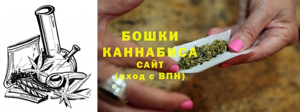 PSILOCYBIN Новозыбков