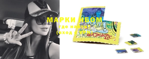 PSILOCYBIN Новозыбков