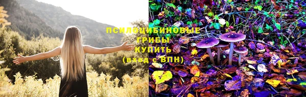 гидропоника Новодвинск