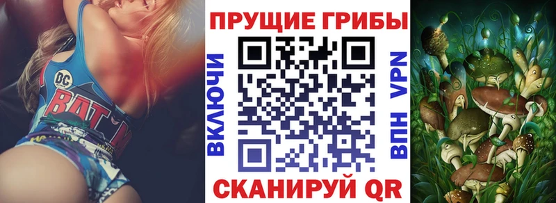 Псилоцибиновые грибы Psilocybine cubensis  MEGA как зайти  Шлиссельбург  закладки 